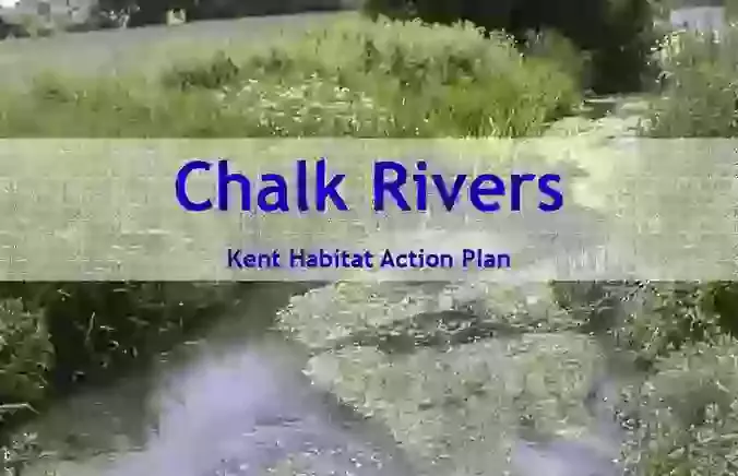 Chalk Rivers Action Plan